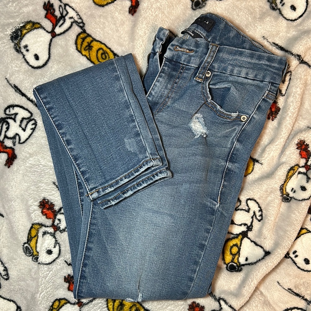 Aeropostale High Rise Curvy Jeans